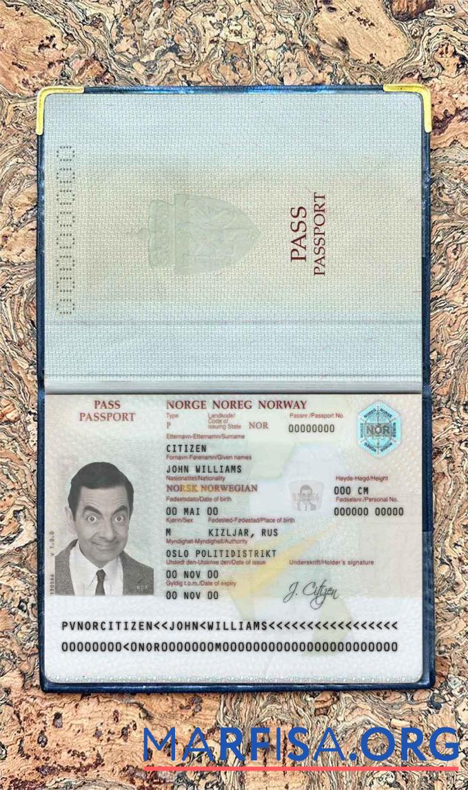 Downloadable Norway passport photo look example